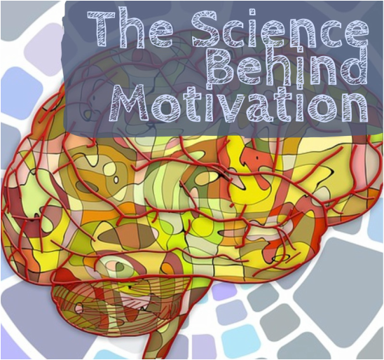 The Science Behind Motivation