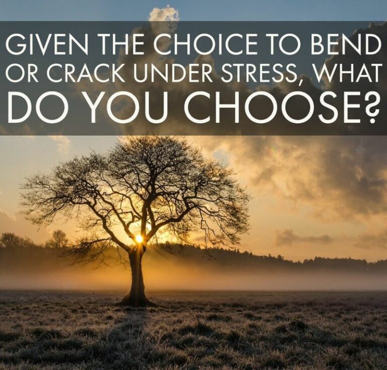 Given the choice to bend or crack under stress, what do you choose?